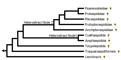 taxon links