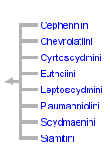 taxon links