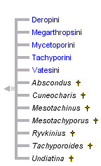 taxon links