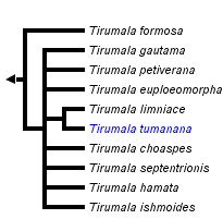 taxon links