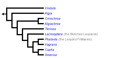 taxon links