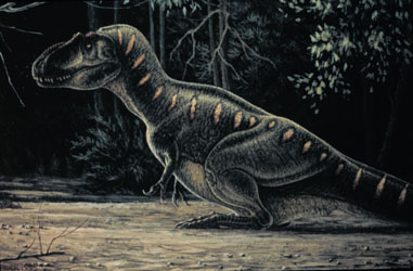 Daspletosaurus torosus at rest