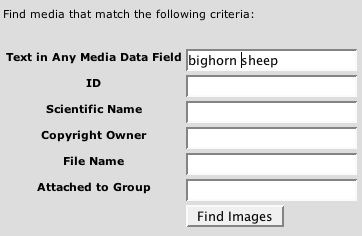 type text in any image data field